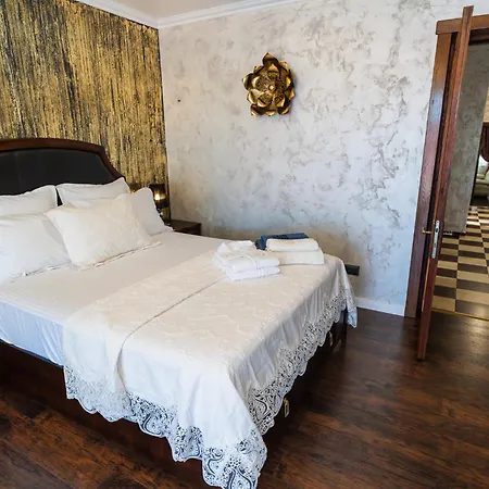 Luxurious With Lush Garden And Huge Terrace Near Herastrau Park *