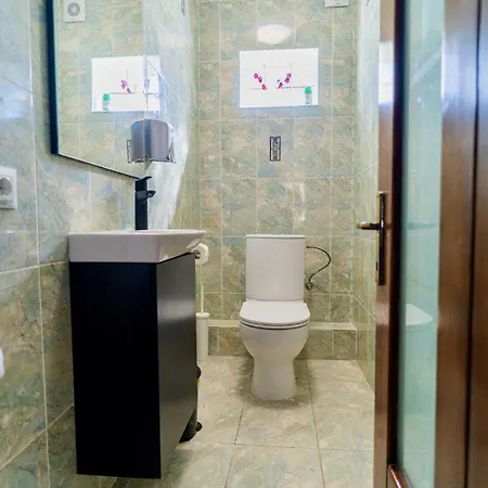 Luxurious With Lush Garden And Huge Terrace Near Herastrau Park