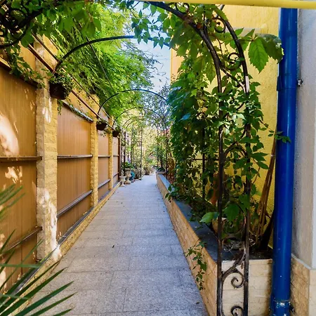 Apartment Luxurious With Lush Garden And Huge Terrace Near Herastrau Park *