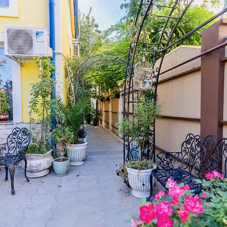 Luxurious With Lush Garden And Huge Terrace Near Herastrau Park