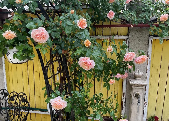 Luxurious With Huge Garden, Terrace & Outdoor Space Lejlighed Bukarest